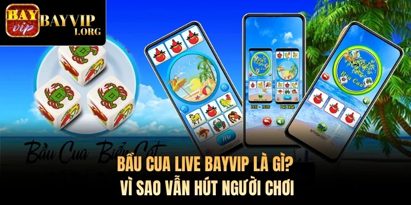 Bầu Cua Live Bayvip là gì? Vì sao vẫn hút người chơi