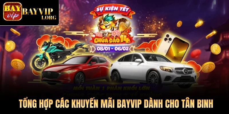 Tổng hợp các khuyến mãi Bayvip dành cho tân binh 