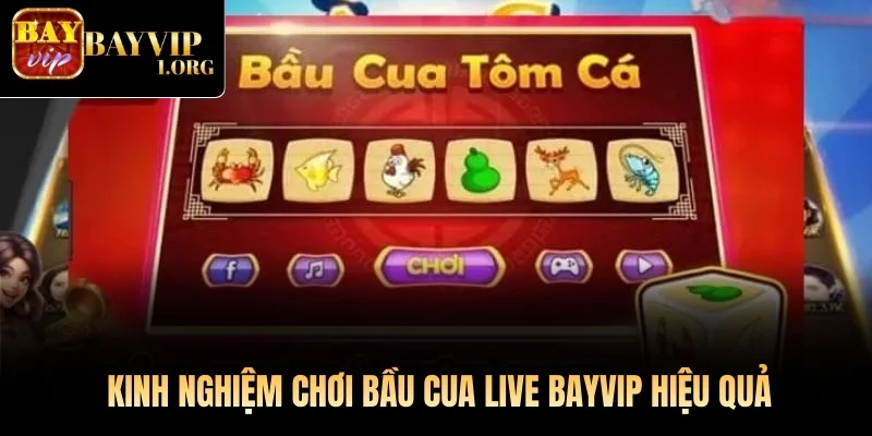 Kinh nghiệm chơi Bầu Cua Live Bayvip hiệu quả