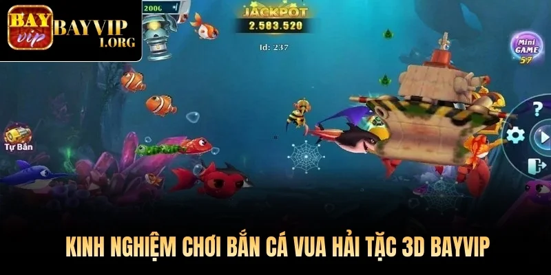 Kinh nghiệm chơi Bắn Cá Vua Hải Tặc 3D Bayvip