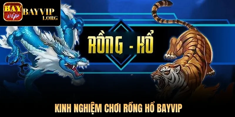 Kinh nghiệm chơi Rồng Hổ Bayvip