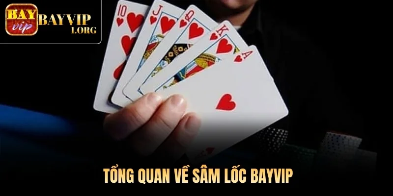 Tổng quan về Sâm Lốc Bayvip
