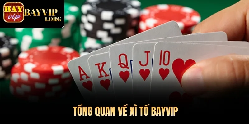 Tổng quan về Xì Tố Bayvip