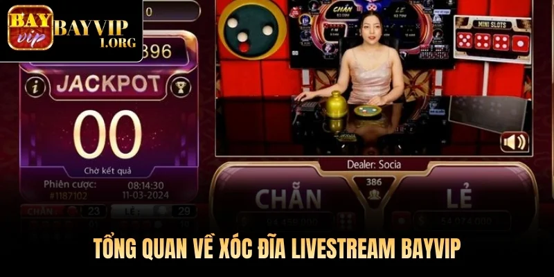 Tổng quan về Xóc Đĩa Livestream Bayvip