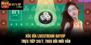 Xóc Đĩa Livestream Bayvip - Trực Tiếp 24/7, Theo Dõi Mỗi Ngày